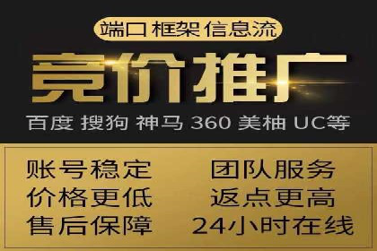 从小白到高手：百度竞价赚钱全记录